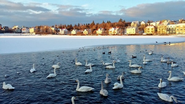 Tjorn lake