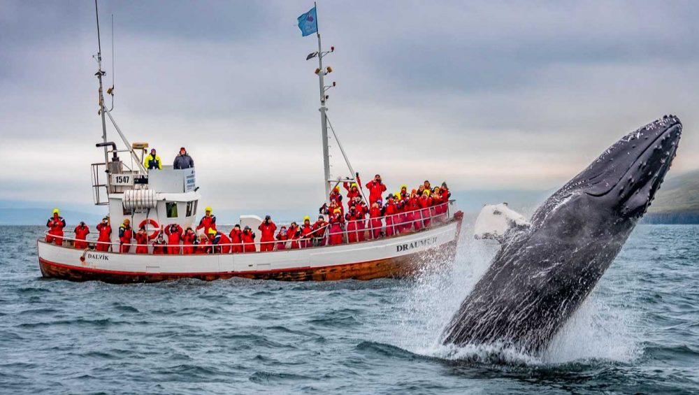 צפון איסלנד