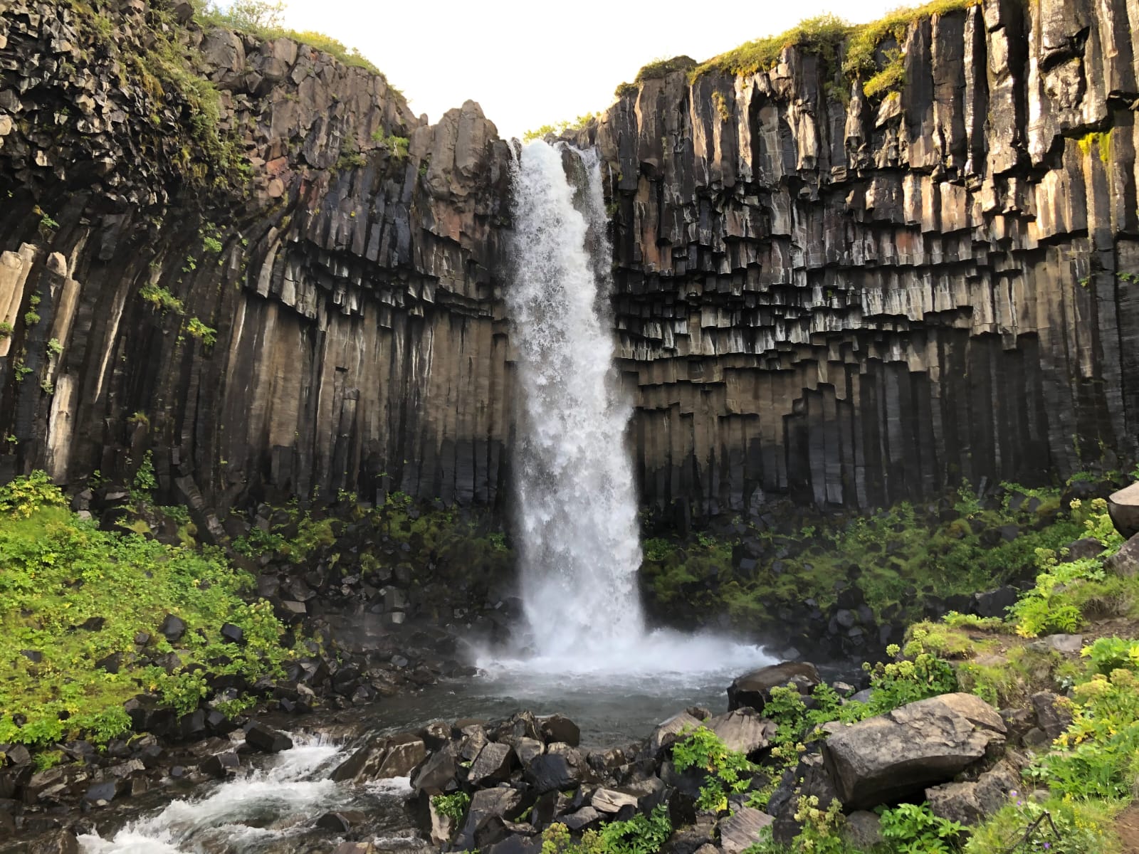 המפל Svartifoss מקרוב